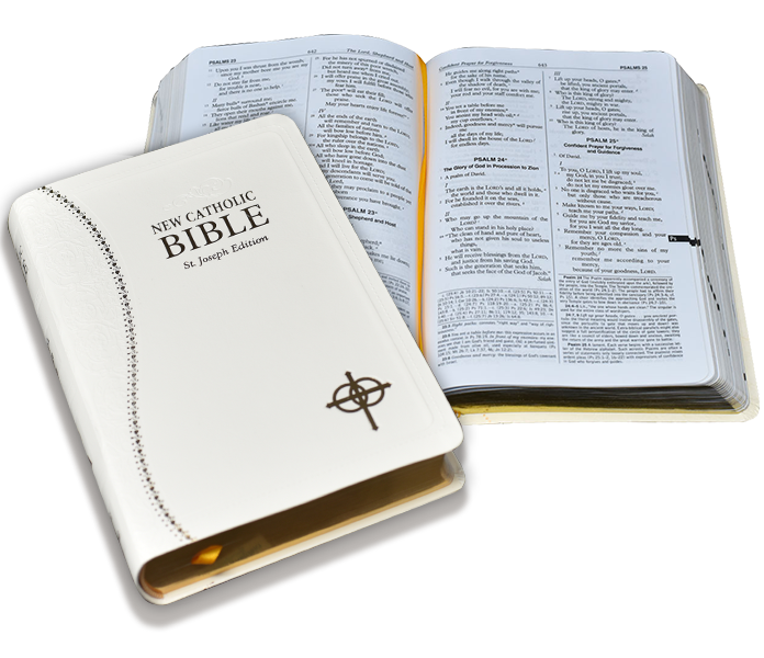 sacramental gift bibles