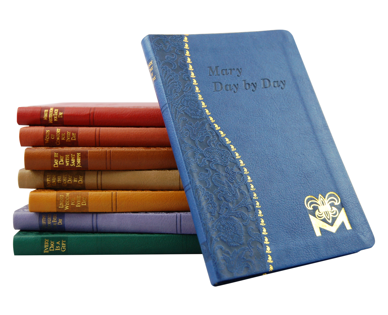 spiritual life series by catholic book publishing